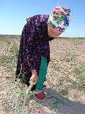 09-05-15_10-15-18khorezm-014