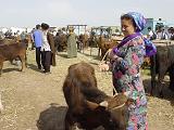 09-05-17_09-45-43Tolkoutchka-026
