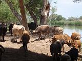 09-05-19_13-07-59karakoum-025