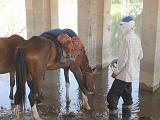 09-05-19_13-18-06karakoum-026