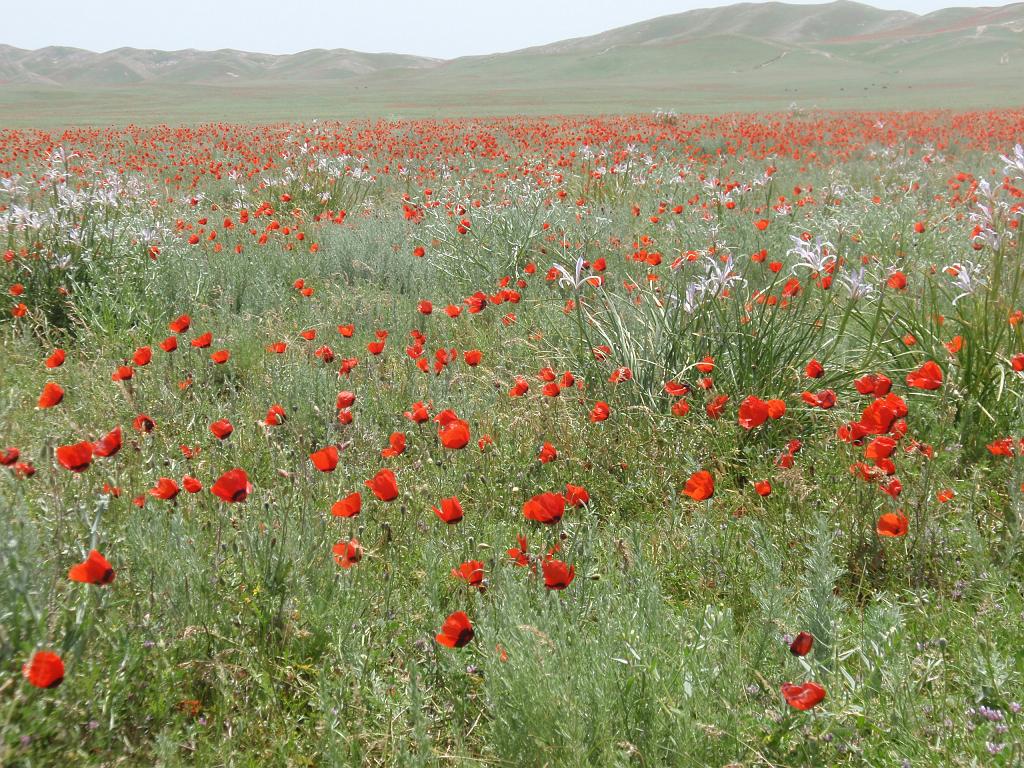09-05-23_12-34-56nurata-015.JPG