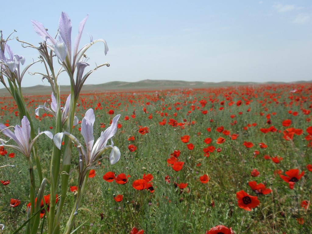 09-05-23_12-38-29nurata-020.JPG