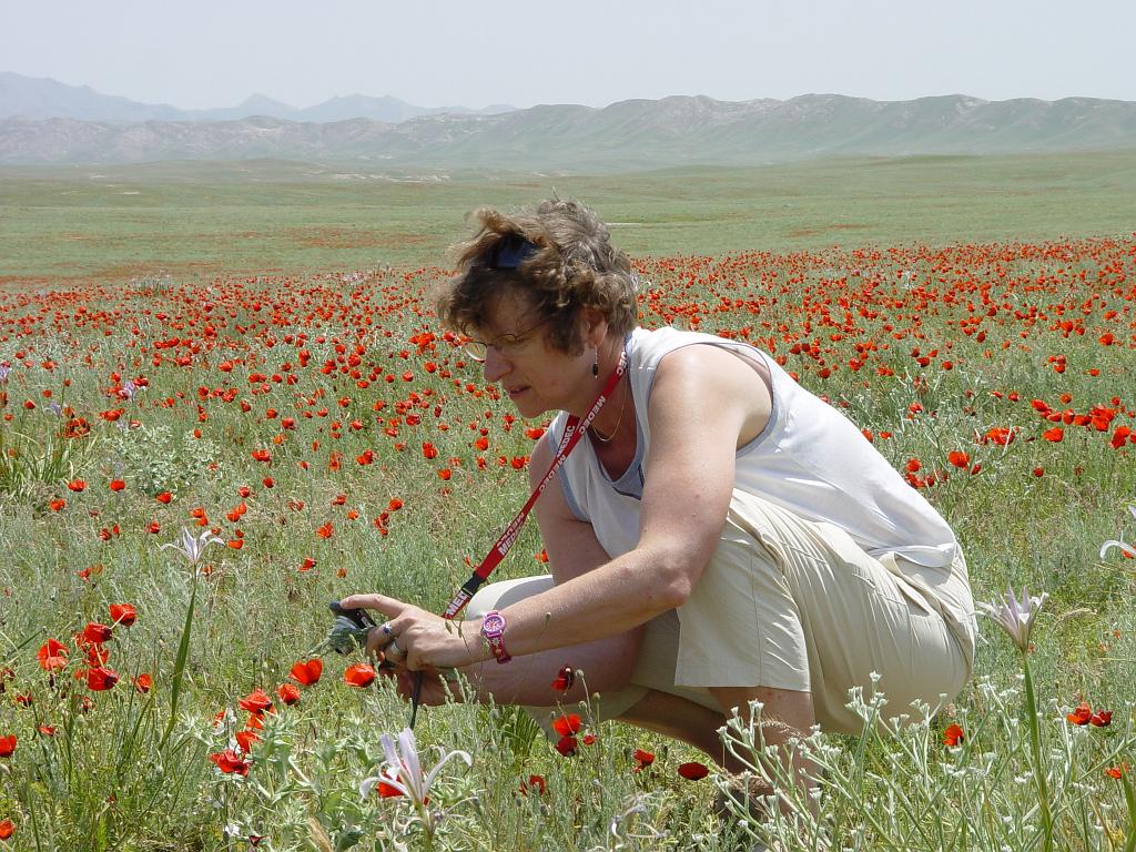 09-05-23_12-43-02nurata-025.JPG - On s'approche pour la macro
