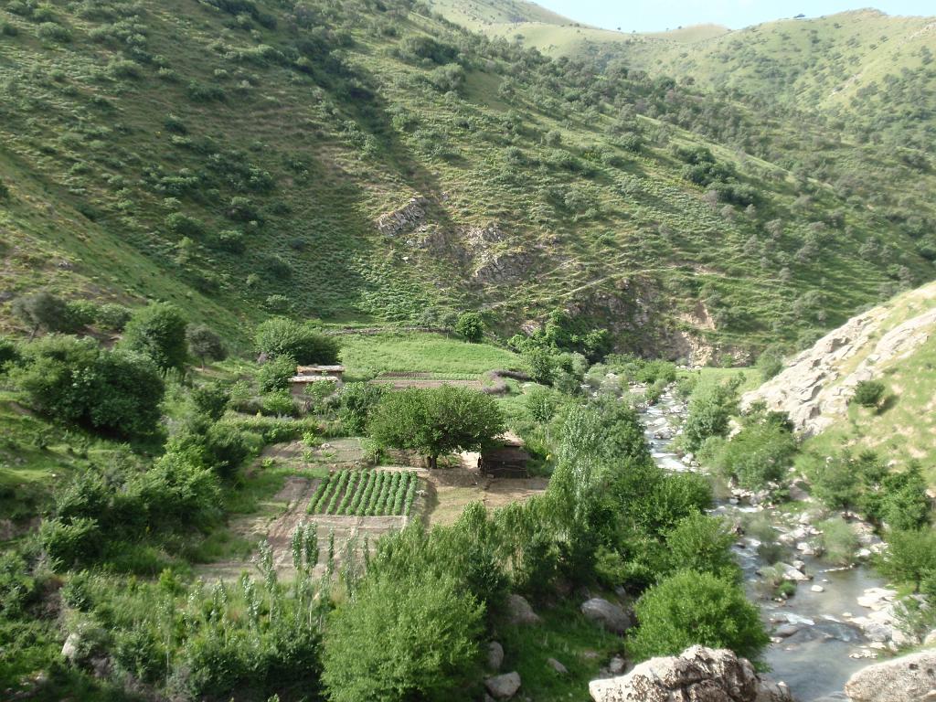 09-05-26_08-18-43Ayokchi-070.JPG - C'est vert ..