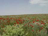 09-05-23_12-30-05nurata-004