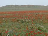 09-05-23_12-32-38nurata-009