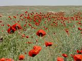 09-05-23_12-33-38nurata-012