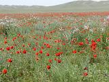 09-05-23_12-34-56nurata-015