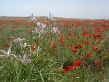 09-05-23_12-37-39nurata-018