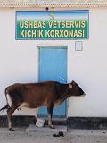 09-05-24_10-06-07Yanguikazgan-034