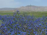 09-05-24_15-05-10Aidarkul-016