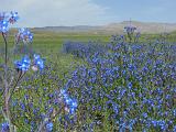 09-05-24_15-07-48Aidarkul-019